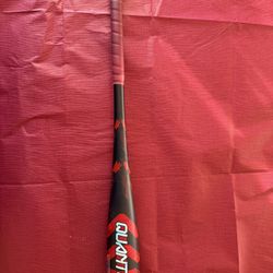 Easton Quantum  Baseball Bat 26 In 15 Ounce 