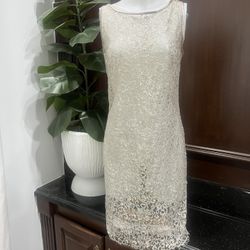 Terri Jon transparent, see-through lace, silver champagne fringe dress size 8