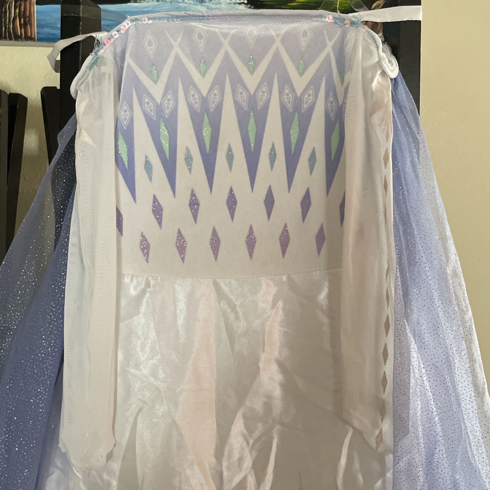 Elsa’s Custome Dress