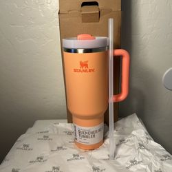 Tangerine Stanley 😳new In Box 40 0z !!!!!