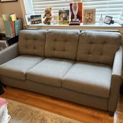 Crate & Barrel Karnes Sleeper Sofa