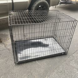 Dog Kennnel