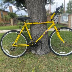 Rare Giant Iguana Bike 