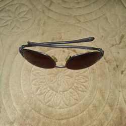 Ray's Sunglasses 