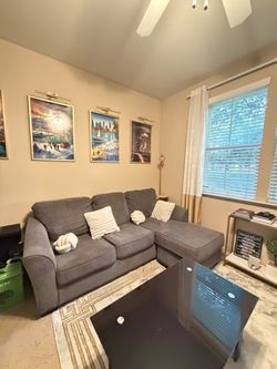 Gray Sectional Sofa with Chaise - Clean & Comfortable