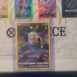 Pokemon Turtwig Galarian Gallery