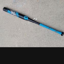 Demarini Fastpitch Softball Bat