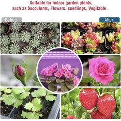 Indoor  plant grow light