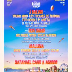 2 VIP Tickets 