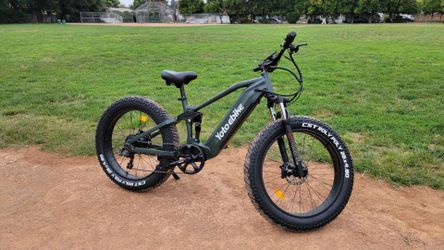 Powerful Electric Bike for taller person
