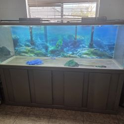 Fish Tank and Stand 140 Gallons 