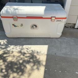 Igloo Cooler 128 Qt 