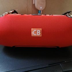 Bluetooth Speaker