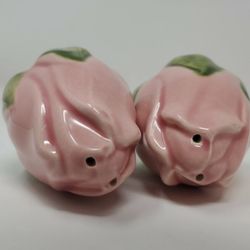 Franciscan Vintage Desert Rose 2 Pepper Shakers No Cracks