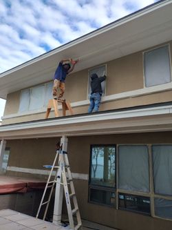 Spesialista En Pintura 