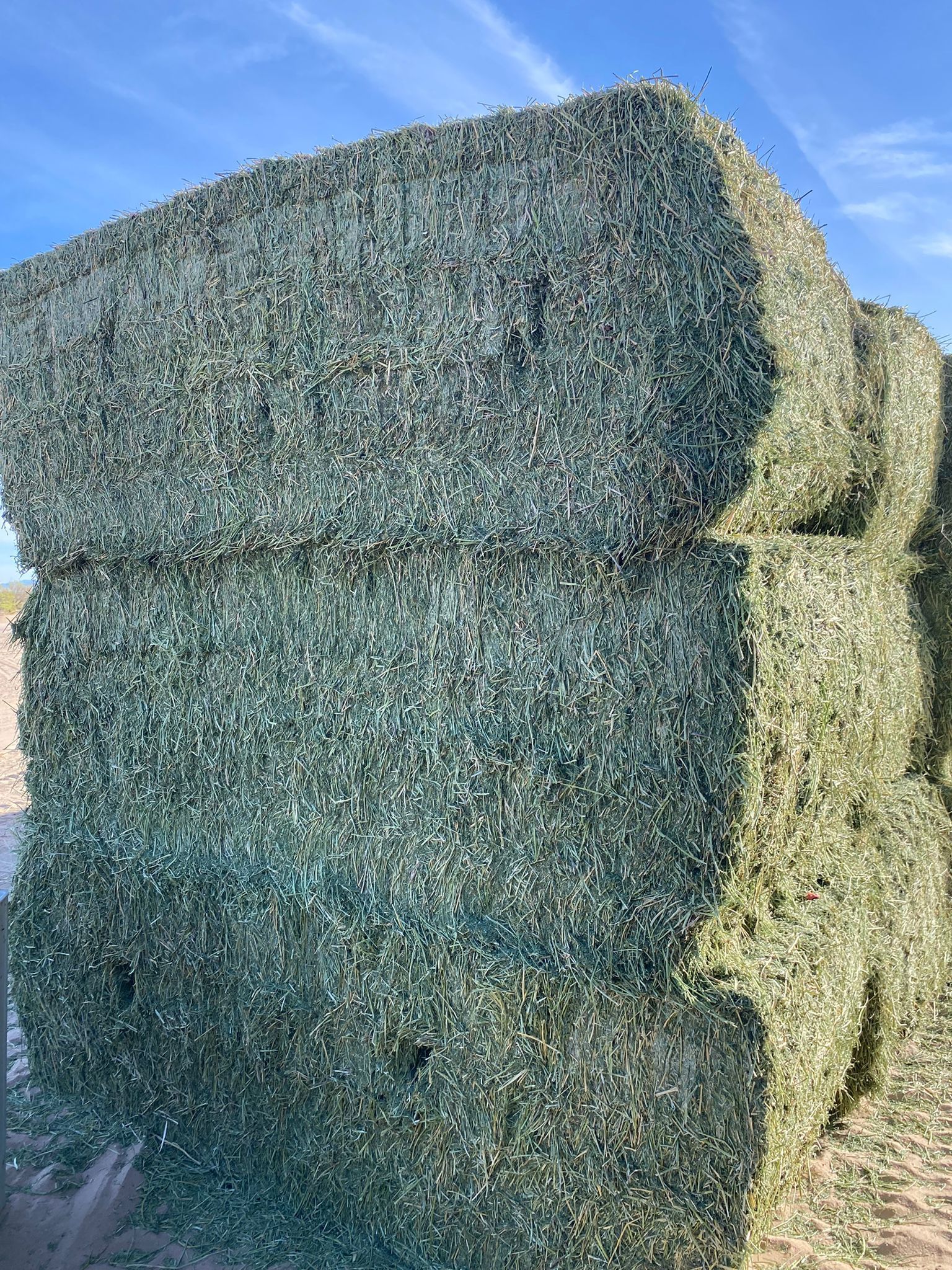 Alfalfa For Sale !! El Paso Tx