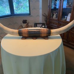 Texas Longhorn 
