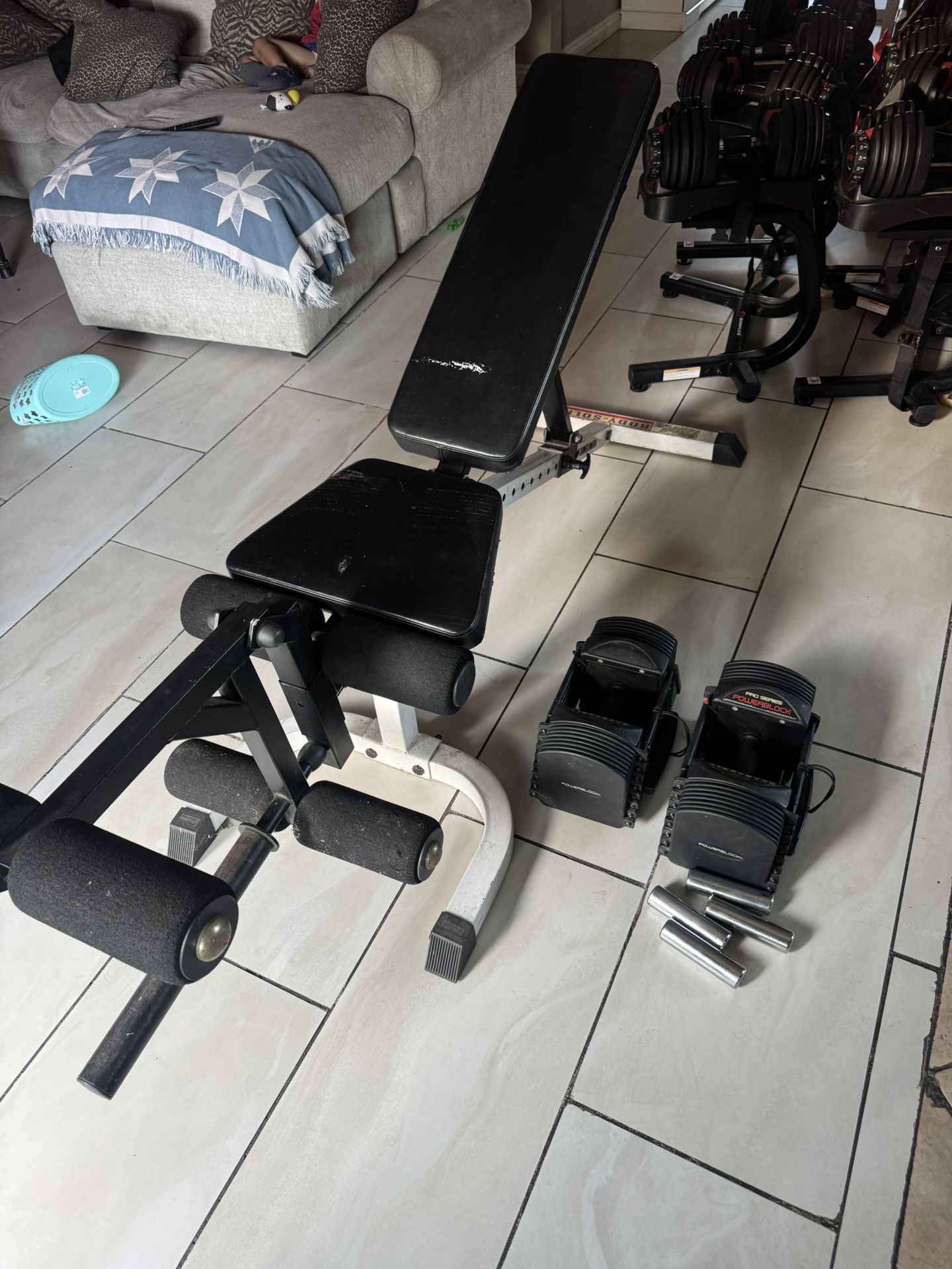 Pro series Adjustable  powerblocks Weights 5-50lbs plus body solid adjustable  bench 