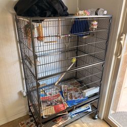 Medium size Bird cage 