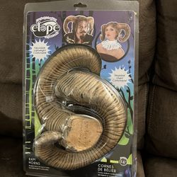 Halloween Costume 