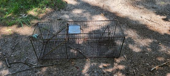 Animal Trap