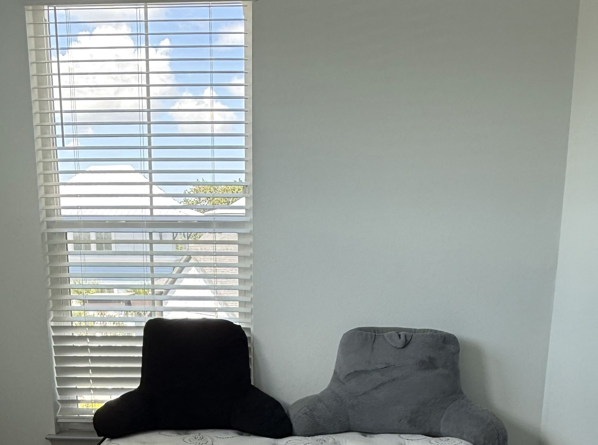 Set of 2 back rest pillows
