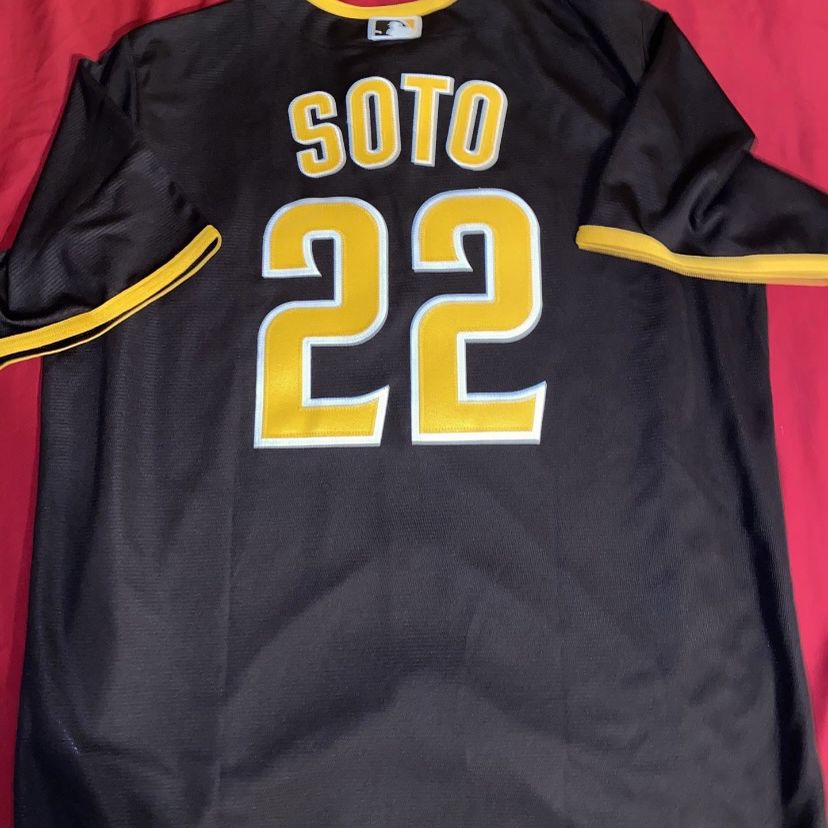 New San Diego Padres Juan Soto Pinstripe Home Jersey Men 40 for Sale in  Chula Vista, CA - OfferUp