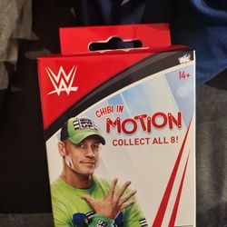 WWE Motion Keychain Blind Box