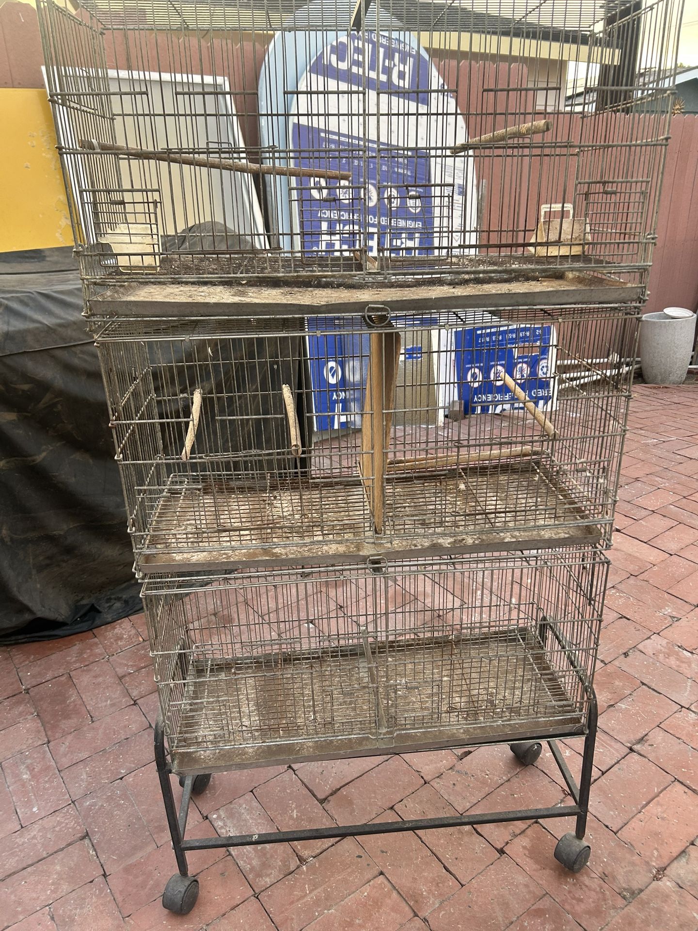 Bird Cage