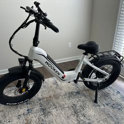 Electric bicycle