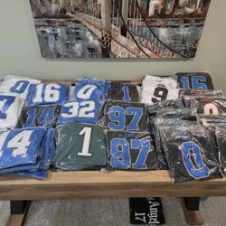 Detroit Lions Jerseys....Sewn Sleeves.....not Printed...