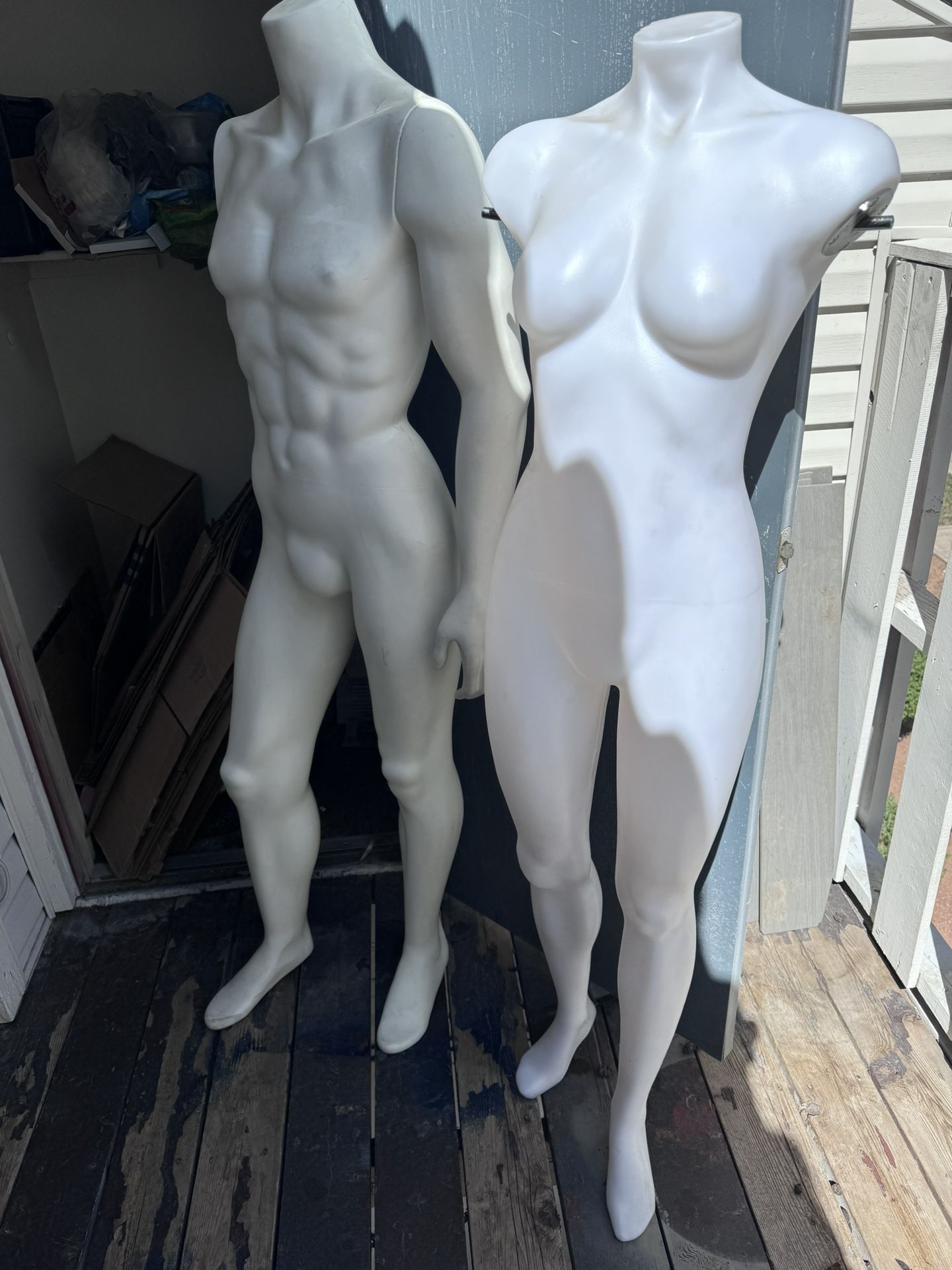 Mannequin (male Only)