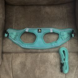 Step-in Dog Harness and Matching Leash
