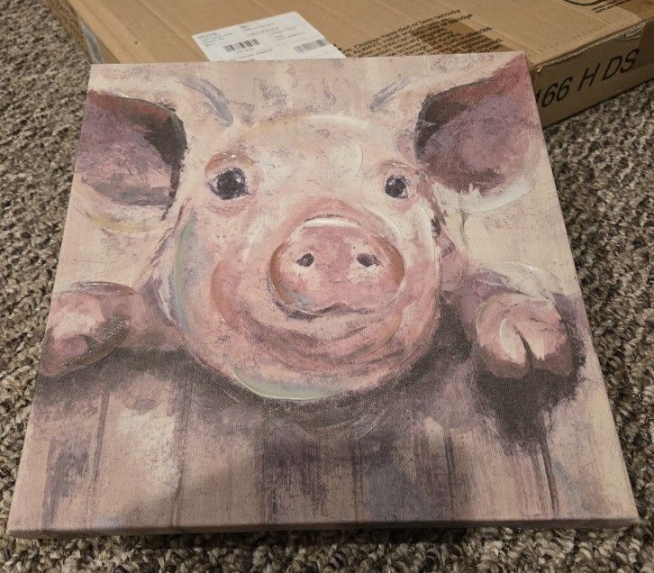 Pig Canvas Picture 12x12