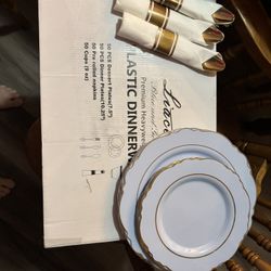 Light Blue Gold Trim Plastic Plate Set For 50 With Extra