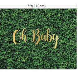 Oh Baby Backdrop Sign Vinyl 