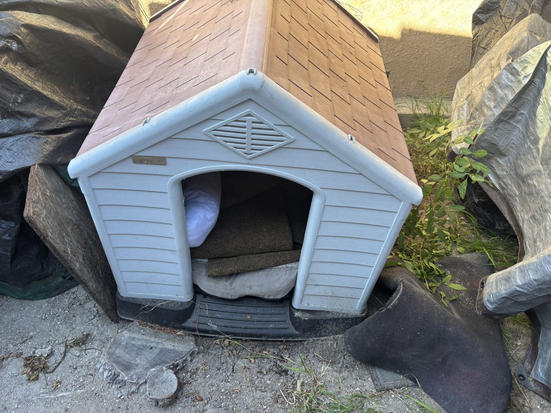 Dog House