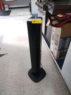 Cash America-Large Fan