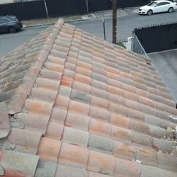 Free Tiles