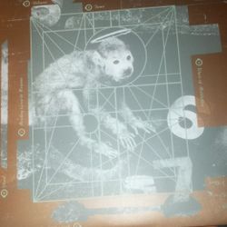 Pixies Dolittle Album Vinyl Mint Condition