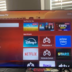TV-43in Roku TV
