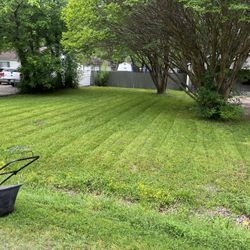 Grass