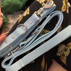 Blue Leash Washable 