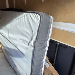 Sealy Mattress Queen