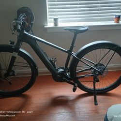 Cannondale Canvas NEO