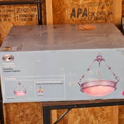 Light  Fixture