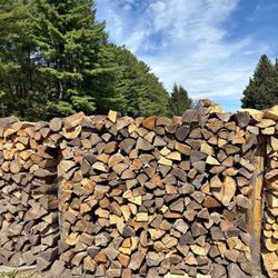 Dry Fire wood 🪵 God Sale 