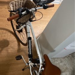 Belt Drive Custom Ebike