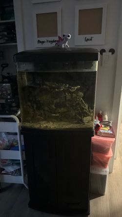 Biocube 32 Gallon With Stand
