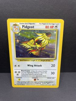 1999 Pokémon Jungle Error Pidgeot Holo